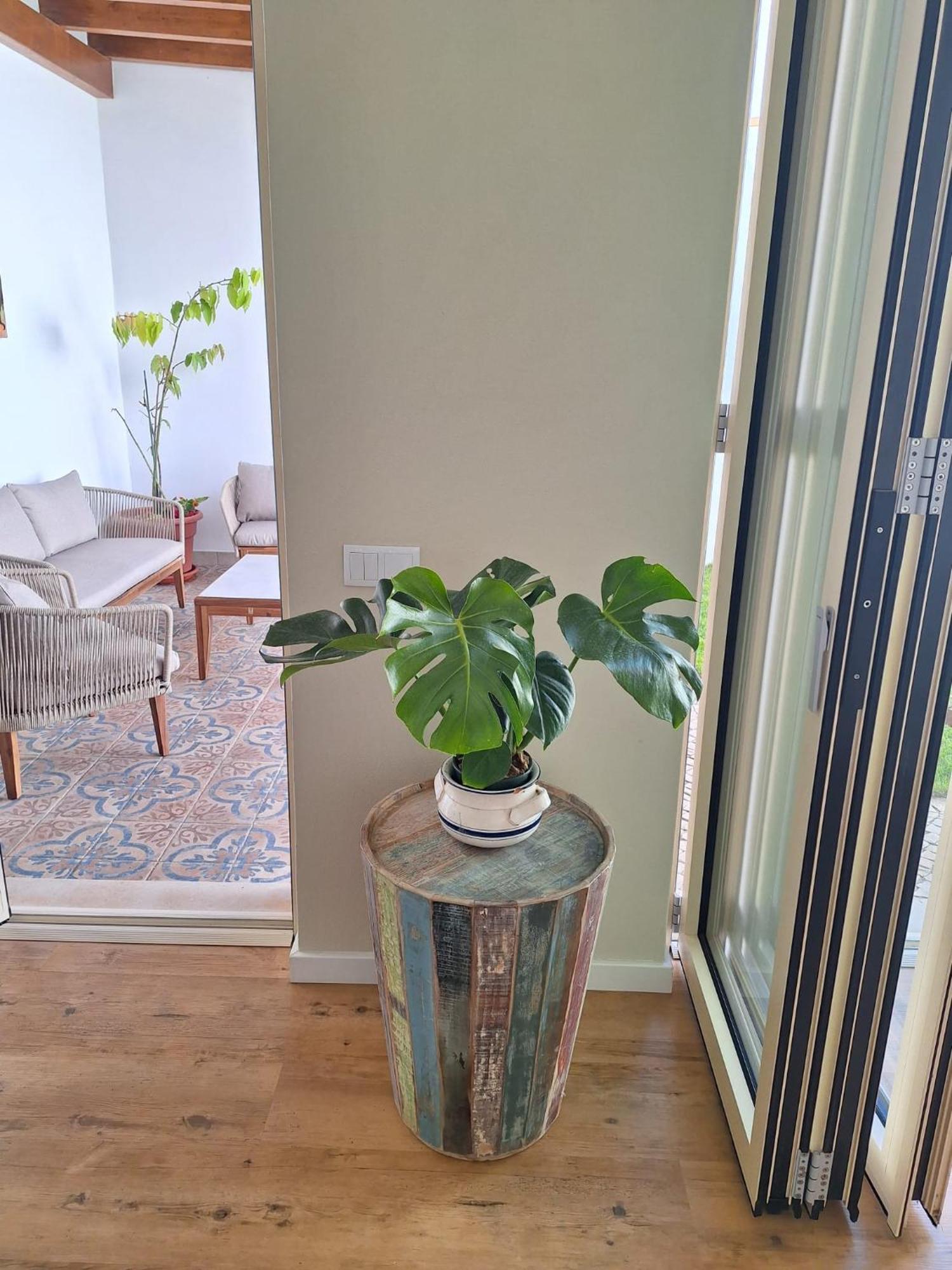 Santa Cruz - B&B Lagos Eksteriør billede